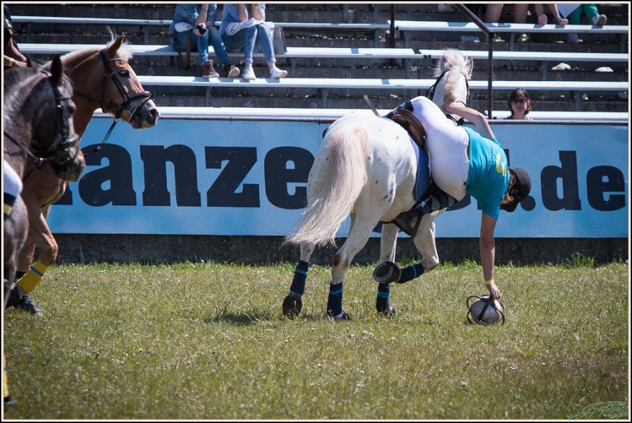 Pferd International 028